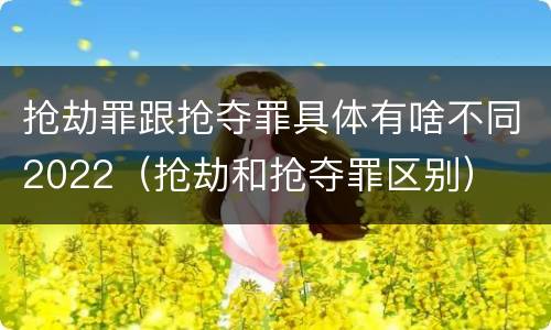 抢劫罪跟抢夺罪具体有啥不同2022（抢劫和抢夺罪区别）