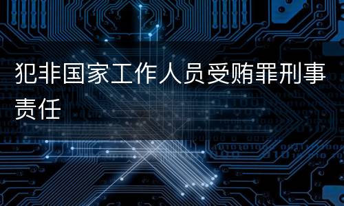 犯非国家工作人员受贿罪刑事责任