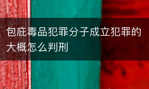 包庇毒品犯罪分子成立犯罪的大概怎么判刑