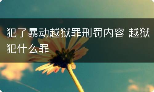 犯了暴动越狱罪刑罚内容 越狱犯什么罪