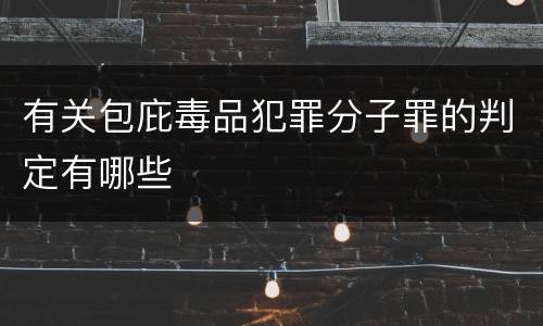 有关包庇毒品犯罪分子罪的判定有哪些