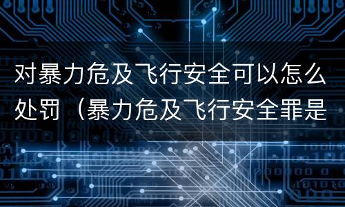 对暴力危及飞行安全可以怎么处罚（暴力危及飞行安全罪是危险犯吗）