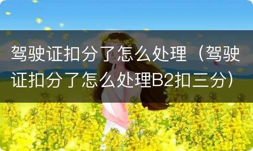 驾驶证扣分了怎么处理（驾驶证扣分了怎么处理B2扣三分）