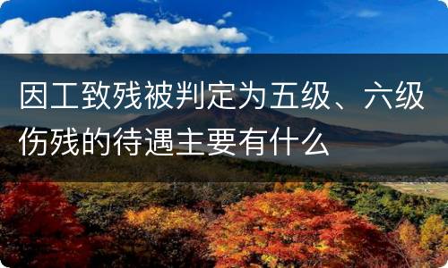 因工致残被判定为五级、六级伤残的待遇主要有什么