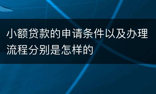 小额贷款的申请条件以及办理流程分别是怎样的