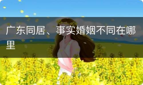广东同居、事实婚姻不同在哪里