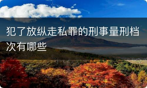 犯了放纵走私罪的刑事量刑档次有哪些