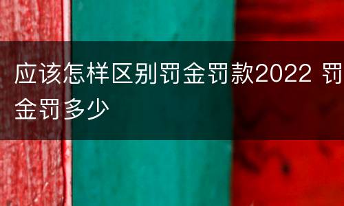 应该怎样区别罚金罚款2022 罚金罚多少