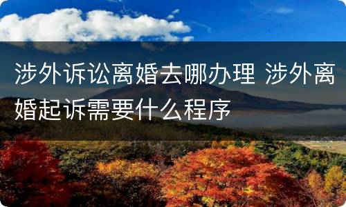 涉外诉讼离婚去哪办理 涉外离婚起诉需要什么程序