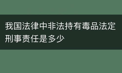 我国法律中非法持有毒品法定刑事责任是多少