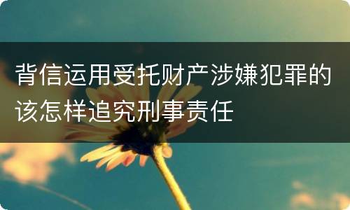 背信运用受托财产涉嫌犯罪的该怎样追究刑事责任