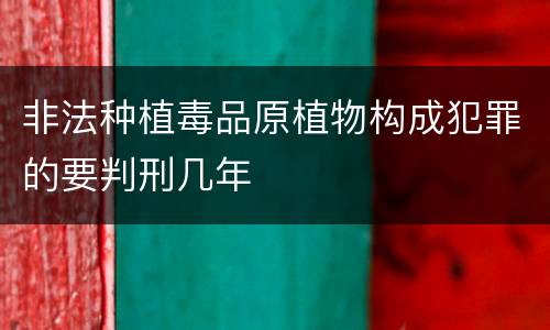 非法种植毒品原植物构成犯罪的要判刑几年