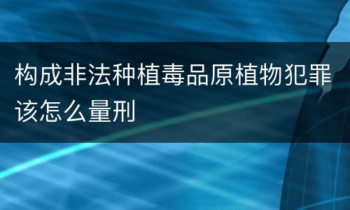 构成非法种植毒品原植物犯罪该怎么量刑