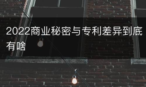 2022商业秘密与专利差异到底有啥