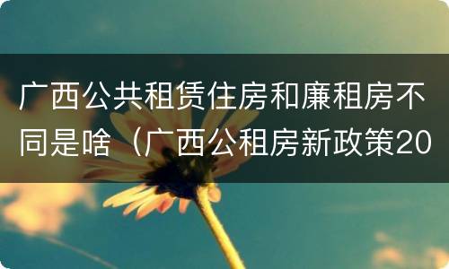 广西公共租赁住房和廉租房不同是啥（广西公租房新政策2021）