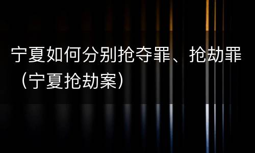 宁夏如何分别抢夺罪、抢劫罪（宁夏抢劫案）