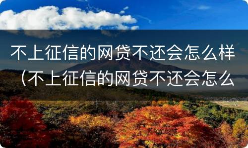 不上征信的网贷不还会怎么样（不上征信的网贷不还会怎么样吗）