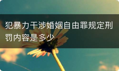 犯暴力干涉婚姻自由罪规定刑罚内容是多少