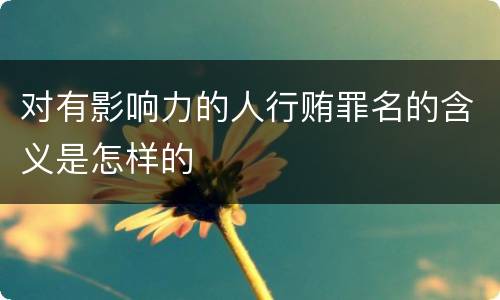 对有影响力的人行贿罪名的含义是怎样的