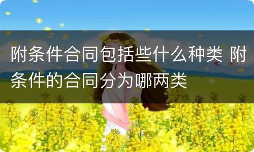 附条件合同包括些什么种类 附条件的合同分为哪两类
