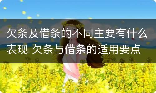 欠条及借条的不同主要有什么表现 欠条与借条的适用要点