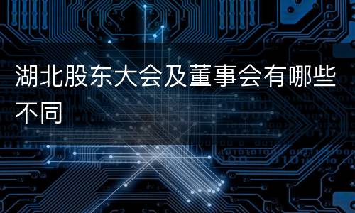 湖北股东大会及董事会有哪些不同