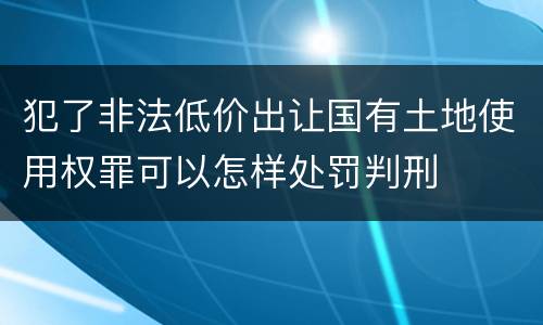 犯了非法低价出让国有土地使用权罪可以怎样处罚判刑