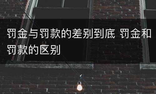 罚金与罚款的差别到底 罚金和罚款的区别