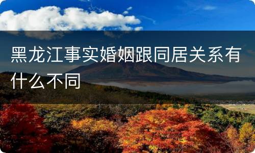 黑龙江事实婚姻跟同居关系有什么不同