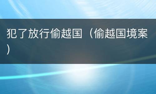 犯了放行偷越国（偷越国境案）