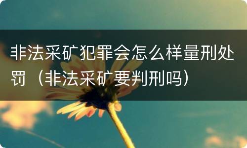 非法采矿犯罪会怎么样量刑处罚（非法采矿要判刑吗）