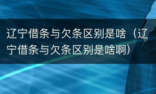 辽宁借条与欠条区别是啥（辽宁借条与欠条区别是啥啊）