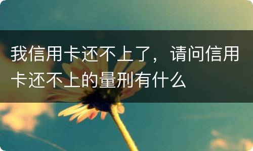 我信用卡还不上了，请问信用卡还不上的量刑有什么