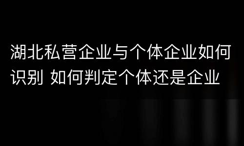 湖北私营企业与个体企业如何识别 如何判定个体还是企业