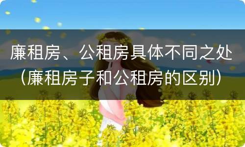 廉租房、公租房具体不同之处（廉租房子和公租房的区别）