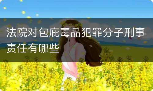 法院对包庇毒品犯罪分子刑事责任有哪些