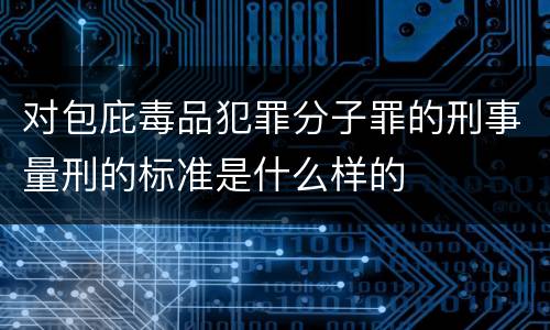 对包庇毒品犯罪分子罪的刑事量刑的标准是什么样的