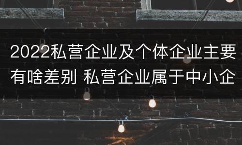 2022私营企业及个体企业主要有啥差别 私营企业属于中小企业吗