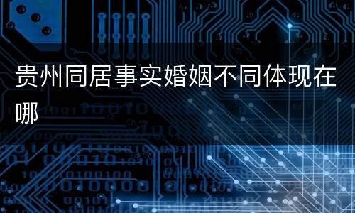 贵州同居事实婚姻不同体现在哪