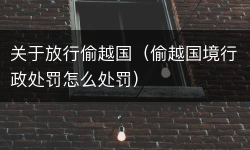 关于放行偷越国（偷越国境行政处罚怎么处罚）