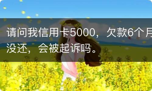 请问我信用卡5000，欠款6个月没还，会被起诉吗。