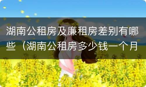 湖南公租房及廉租房差别有哪些（湖南公租房多少钱一个月）