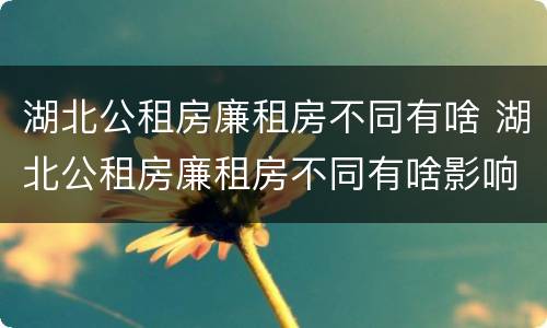 湖北公租房廉租房不同有啥 湖北公租房廉租房不同有啥影响