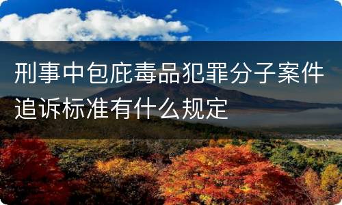 刑事中包庇毒品犯罪分子案件追诉标准有什么规定