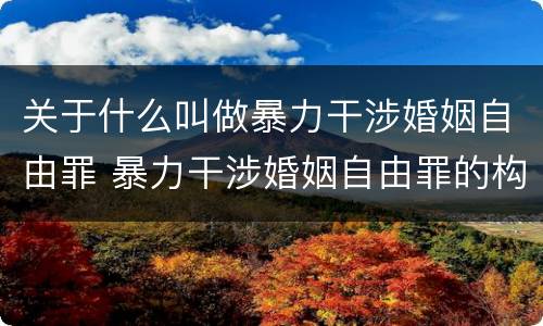 关于什么叫做暴力干涉婚姻自由罪 暴力干涉婚姻自由罪的构成要件