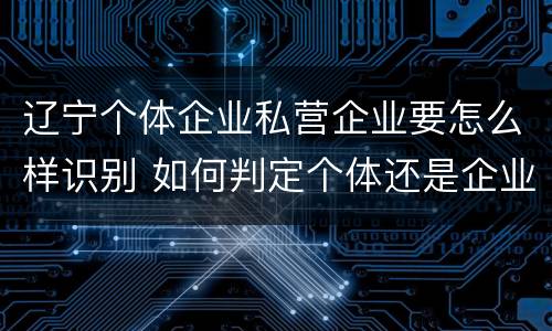 辽宁个体企业私营企业要怎么样识别 如何判定个体还是企业