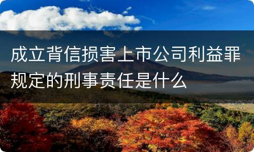成立背信损害上市公司利益罪规定的刑事责任是什么