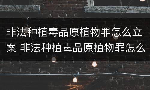 非法种植毒品原植物罪怎么立案 非法种植毒品原植物罪怎么立案的