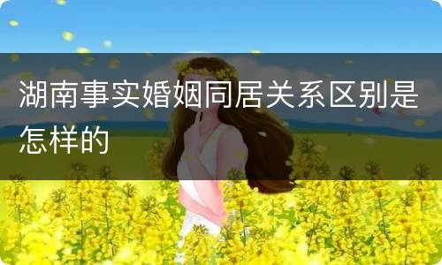 湖南事实婚姻同居关系区别是怎样的