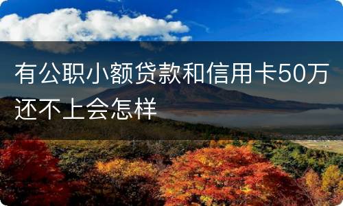 有公职小额贷款和信用卡50万还不上会怎样